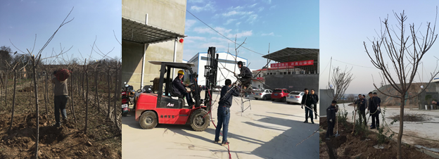 寶雞捷銳“迎春風(fēng)，綠家園”植樹(shù)節(jié)(圖2)